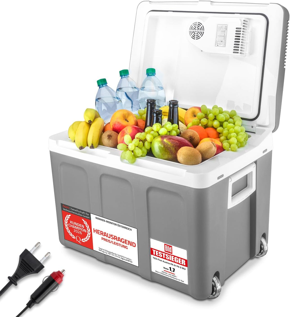 Kühlschrank 45L 12V 230V - Kühlbox elektrisch Anschluss für Auto & Steckdose - Thermoelektrische Cool Box kühlt & wärmt - Mini